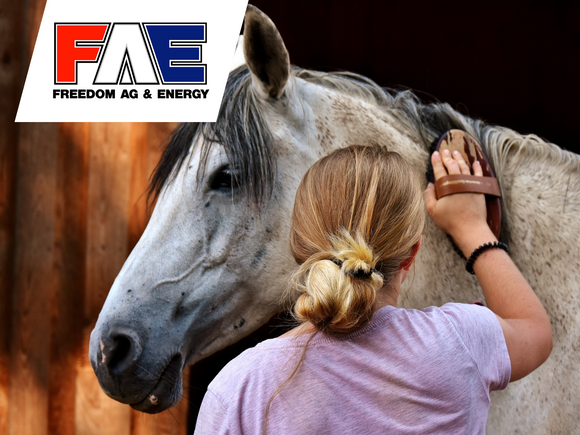 Equine