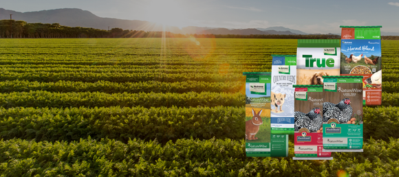Nature Wise $3 Sale April 2025