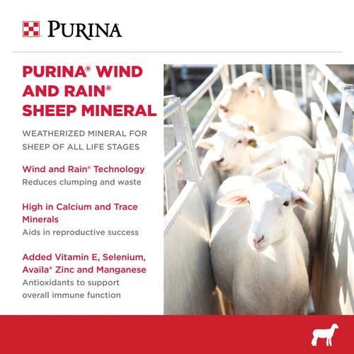 Purina® Wind and Rain® Sheep Mineral
