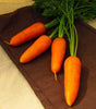 Seedway Royal Chantenay Carrot (Treated Seed)