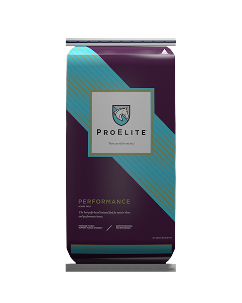 ProElite Performance Text Horse Feed
