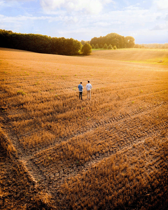 Hansen Mueller Steam Rolled Oats