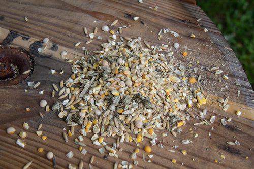 New Country Organics Sheep Feed