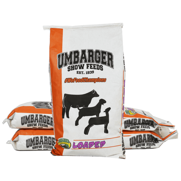 Umbarger Show Feeds Loaded