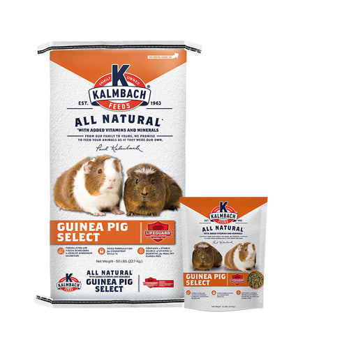 Kalmbach Guinea Pig Select