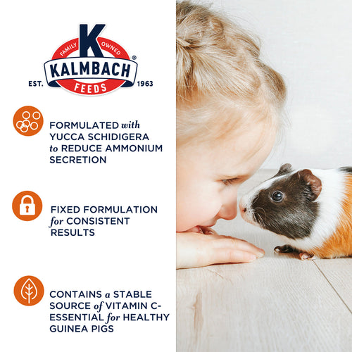Kalmbach Guinea Pig Select