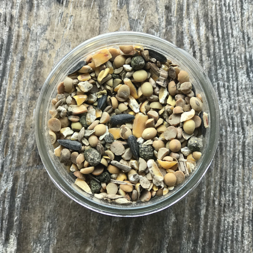 Ernst Grain & Livestock Wholesome Harvest Turkey & Game Bird Grower