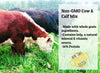 Ernst Grain & Livestock Wholesome Harvest Cow/Calf Mix