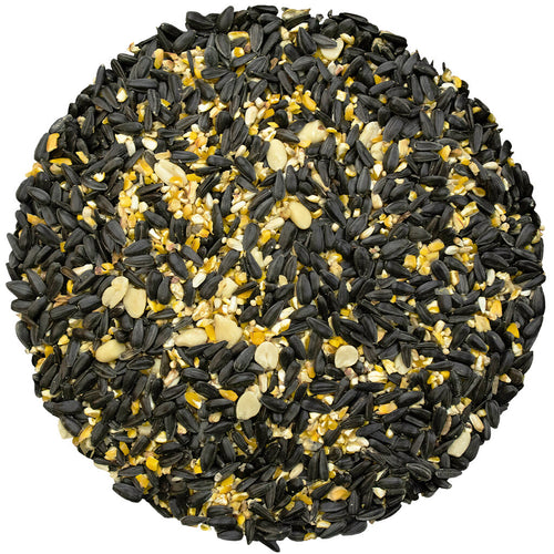 Bird Pro Year-Round Favorite