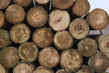 Kencove CCA 4-5 x 10' Tapered Wood Post