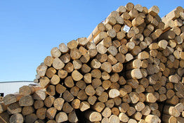 Madison Wood Fence Posts (CCA Treated)