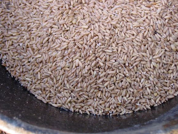 Nutrena® Country Feeds® Whole Oats Horse Feed