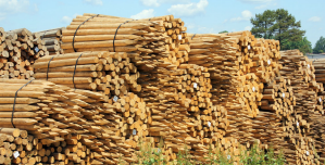 Madison Wood Specialty Posts