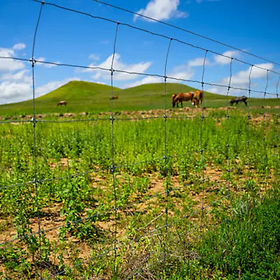 Bekaert Corp Solidlock® Pro 30 842-12 12.5g 660' High Tensile Fixed Knot Cattle Fence