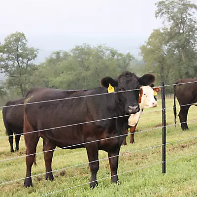 BEKAERT 12.5 ga 200k PSI Class 3 4000' High Tensile Smooth Wire