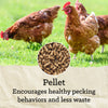 Nutrena® NatureWise® Hearty Hen® 18% Soy-Free Protein Pellet