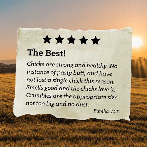 Nutrena® NatureWise® Chick Starter Grower Feed