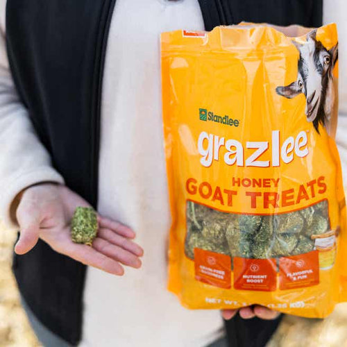 Standlee Grazlee Honey Goat Treats