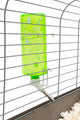 Lixit Critter Bright Water Bottle