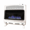 MR. HEATER 30,000 BTU Vent Free Blue Flame Dual Fuel Heater