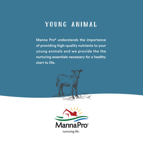 Manna Pro® Hen Healer™ Ointment