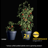 Miracle-Gro® Performance Organics® All Purpose Container Mix