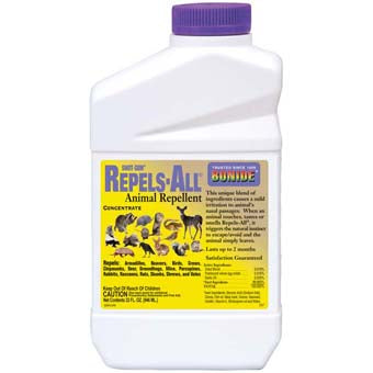 Shot-Gun Repels All Animal Repellent Concentrate Qt