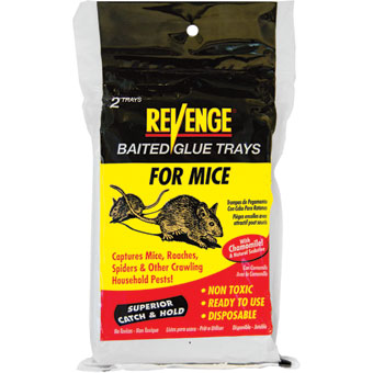 Revenge Baited Glue Trays for Mice 2 pack