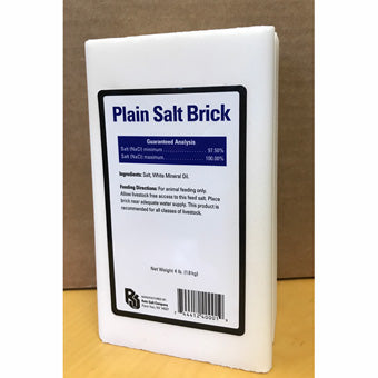 Plain White Salt Brick 4lb
