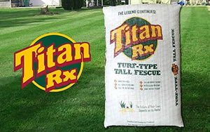 Titan RX Turf-TypeTall Fescue