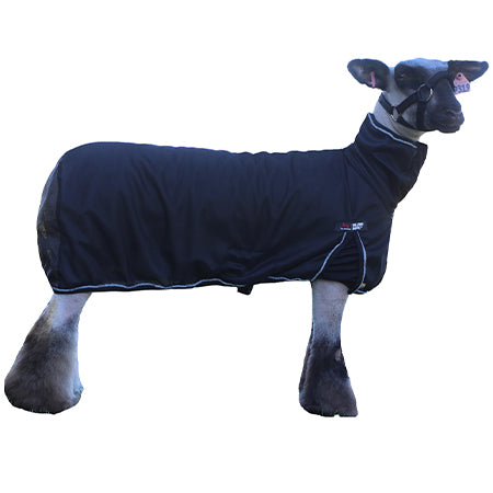 SS Cool Tech Sheep Blanket Black XLG