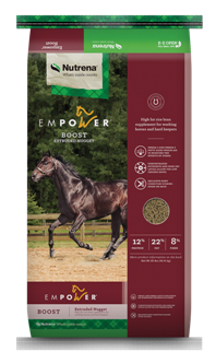 Empower Boost Horse Supplement