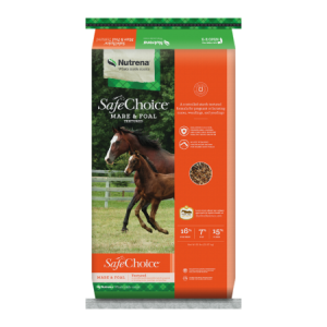 NUTRENA SAFECHOICE MARE & FOAL FEED TEXTURED