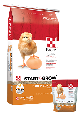 Purina Starter & Grower Non Medicated 50lb