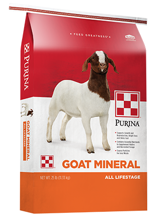 Purina Goat Mineral 25lb