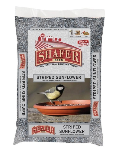 Shafer Grey Striped Sunflower Seed